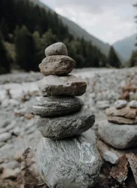 Meilensteine gemeinsam sind wir stark Viktor Frankl