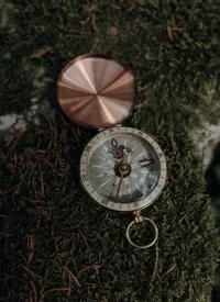 Kompass auf Moosbett