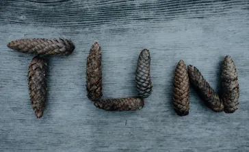 Tun aus Tannenzapfen geschrieben